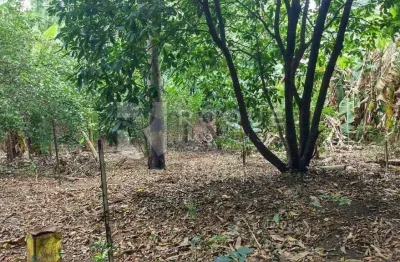 Casa com 2 quartos à venda na Vila Gioto, Limeira 