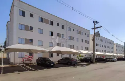 Apartamento para aluguel no bairro jardim colina verde