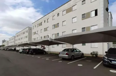 Apartamento para aluguel no bairro jardim colina verde
