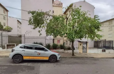 Apartamento para aluguel no bairro jardim olga veroni