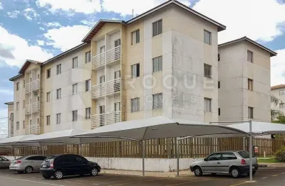 Apartamento para aluguel no bairro jardim parque novo mundo