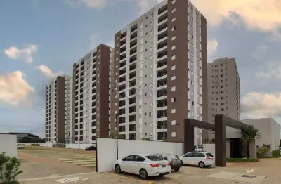 Apartamento para aluguel no bairro jardim santa adélia