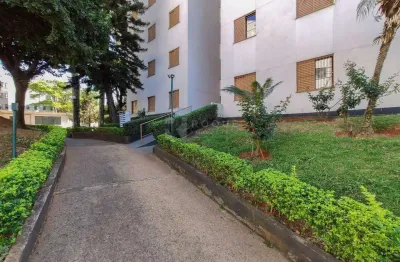 Apartamento com 3 quartos para alugar na Vila Paulista, Limeira 