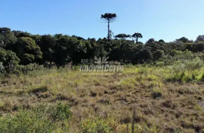 Terreno comercial à venda na rua mário dybas, 117, cidade industrial, curitiba por r$ 10.948.796
