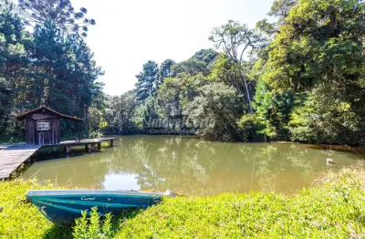 Chácara / sítio com 5 quartos à venda na rua joão lipinski, colônia murici, são josé dos pinhais, 450 m2 por r$ 6.500.000