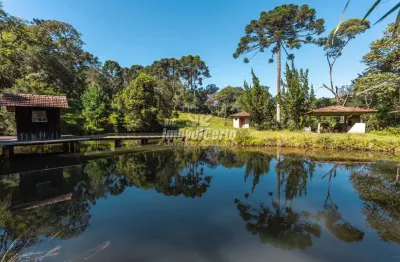 Chácara / sítio com 5 quartos à venda na rua joão lipinski, colônia murici, são josé dos pinhais, 450 m2 por r$ 6.500.000