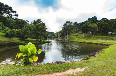 Chácara / sítio com 8 quartos à venda na est pedreira - vl - corrego fundo, centro, tijucas do sul por r$ 1.950.000