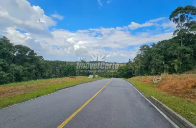 Terreno em condomínio fechado à venda na rua araruna, 90, vila conceição, campo largo, 1060 m2 por r$ 450.000
