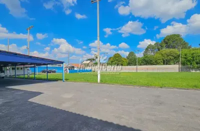 Terreno à venda na rua euclides da cunha, 108, vargem grande, pinhais, 4000 m2 por r$ 3.000.000