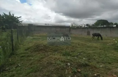 Terreno à venda, bandeirantes (pampulha) - belo horizonte/mg