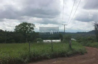 Terreno com 46.789,22m² muito próximo ao ceasa com topografia plana.