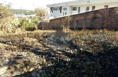 Lote - terreno à venda, são luiz - belo horizonte/mg