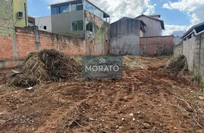 Terreno à venda na Rua Verônica, --, Serrano, Belo Horizonte