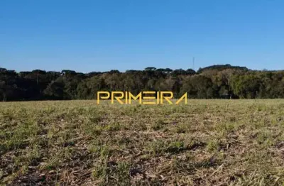 Terreno à venda na São Benedito, 155, Salgadinho, Campo Largo