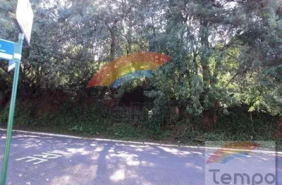 Terreno à venda no Jardim Mauá, Novo Hamburgo 