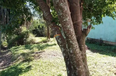 Terreno à venda no Guarani, Novo Hamburgo 