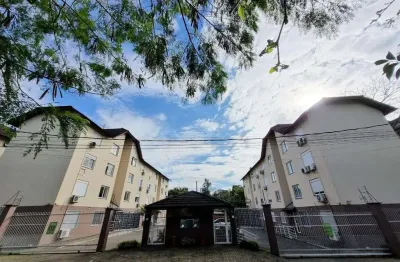 Apartamento com 2 quartos para alugar no Jardim Mauá, Novo Hamburgo 