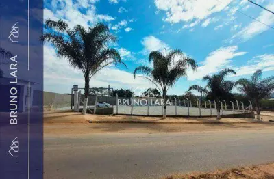 Terreno comercial para alugar na Rua Flamboyant, 1099, Primavera, São Joaquim de Bicas