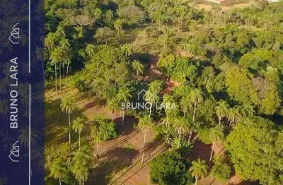 Terreno à venda na Rua Vereador Ziquita, 1, Novo Horizonte, Igarapé