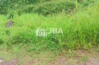 Terreno à venda na Alais De Fátima Zapf, 63, Dom Rodrigo, São José dos Pinhais