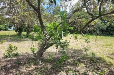 Terreno à venda no Parque Valinhos, Valinhos 