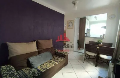 Apartamento com 2 dormitórios à venda, 46 m² por r$ 179.000,00 - loteamento industrial machadinho - americana/sp