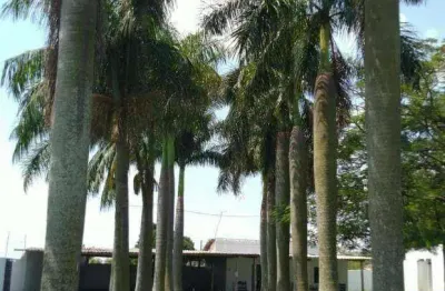 Chácara com 2 dormitórios à venda, 2821 m² por r$ 2.000.000 - recanto ceci - nova odessa/sp