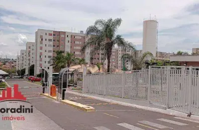 Apartamento com 2 quartos à venda, no bairro parque yolanda (nova veneza) - sumaré/sp