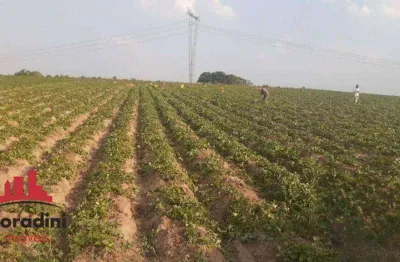 Terreno à venda na Praça Plêiades, Chácara Cruzeiro do Sul, Sumaré