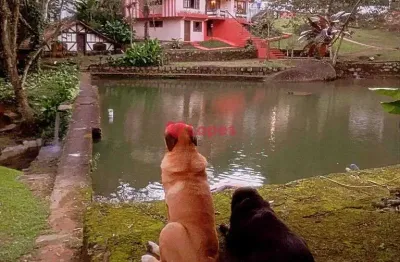 Chácara / sítio com 12 quartos à venda na Estrada do Soberbo, --, Barreira, Guapimirim