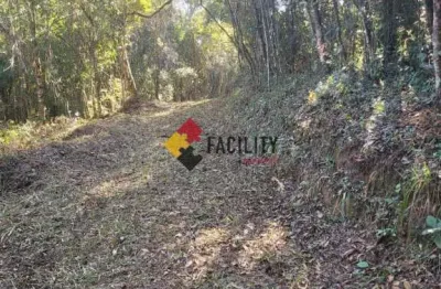 Terreno comercial à venda na rua brunoro de gasperi, 325, zona rural, munhoz por r$ 220.000