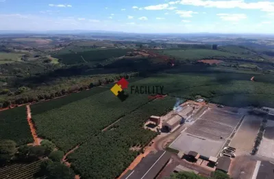 Fazenda à venda na rua mg 050, km281, 10, zona rural, piumhi por r$ 250.000.000