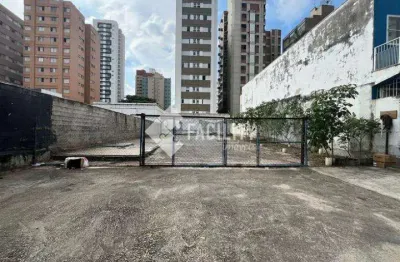 Terreno comercial para alugar na rua general osório, 1865, cambuí, campinas, 475 m2 por r$ 8.000