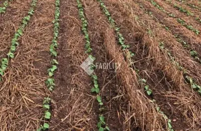 Fazenda à venda na rural, 200, área rural de itapetininga, itapetininga, 992200 m2 por r$ 6.560.000