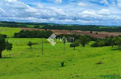Chácara / sítio com 1 quarto à venda na rural, 20, área rural de itapetininga, itapetininga, 295000 m2 por r$ 2.800.000