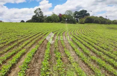 Chácara / sítio com 1 quarto à venda na campos salles, 01, centro, itararé, 595562000 m2 por r$ 7.400.000