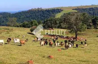Fazenda à venda na rua augusto cesar 345, 200, centro, pardinho, 1 m2 por r$ 30.000.000