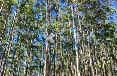 Fazenda à venda na avenida brasil, 500, zona rural, guapiara, 2420000000 m2 por r$ 162.500.000