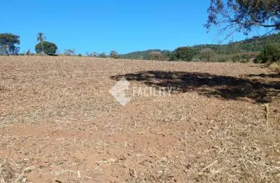 Terreno à venda na estrada caminho da prece bairro vargem grande, centro, ouro fino por r$ 300.000