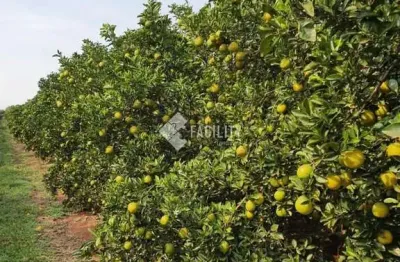 Fazenda à venda na rural, 100, área rural de avaré, avaré por r$ 700.000.000