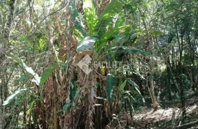 Terreno à venda na pesqueiro do roberto sn, sn, congonhas, jacutinga por r$ 130.000