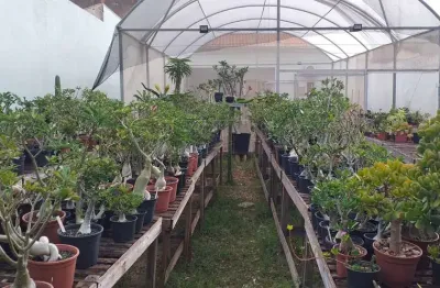 Ponto comercial à venda no Palmital, Marília 