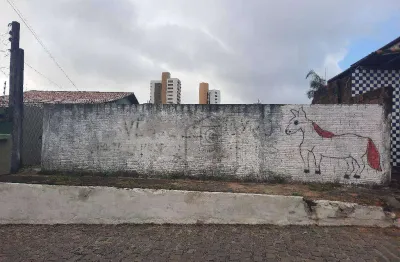 Terreno à venda no bairro neópolis – murado e em localização estratégica - 296 m² - natal/rn - te0038