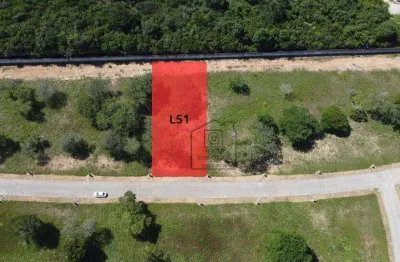 Terreno à venda no condomínio chácaras pau brasil – amplo espaço, natureza e tranquilidade - 1000 m² - taborda - são josé de mipibu/rn - te0078