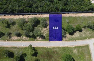 Terreno à venda no condomínio chácaras pau brasil – amplo espaço, natureza e tranquilidade - 1000 m² - taborda - são josé de mipibu/rn - te0079