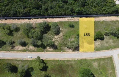 Terreno à venda no condomínio chácaras pau brasil – amplo espaço, natureza e tranquilidade - 1000 m² - taborda - são josé de mipibu/rn - te0080