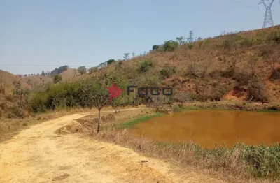 Fazenda de eucalipto  e de gado / 337 hectares / 02 casas (principal e empregados )  escriturada / areias - sp