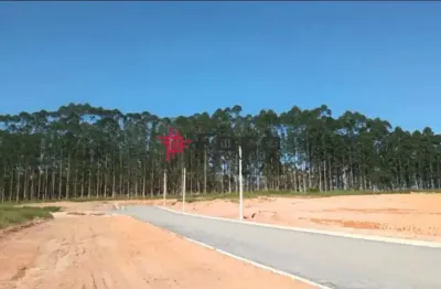 Terreno / padrão - residencial - no bairro vila amélia - são josé dos campos