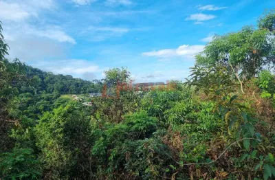 Terreno de Condomínio, Chácaras Condomínio Recanto Pássaros II, Jacareí - R$ 970 mil, Cod: 14623