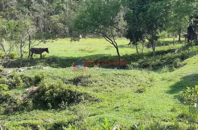 Fazenda com 3 quartos, pedra branca, caçapava - r$ 1.8 mi, cod: 10059